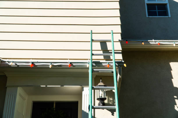 Best Brick Veneer Siding  in University Place, WA