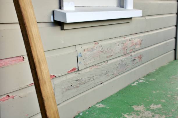 Best Weatherproofing and Sealing  in University Place, WA